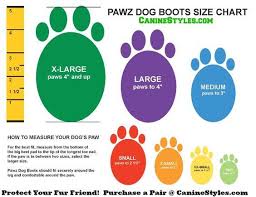 Pawz Boots Colors Pets Pawz 