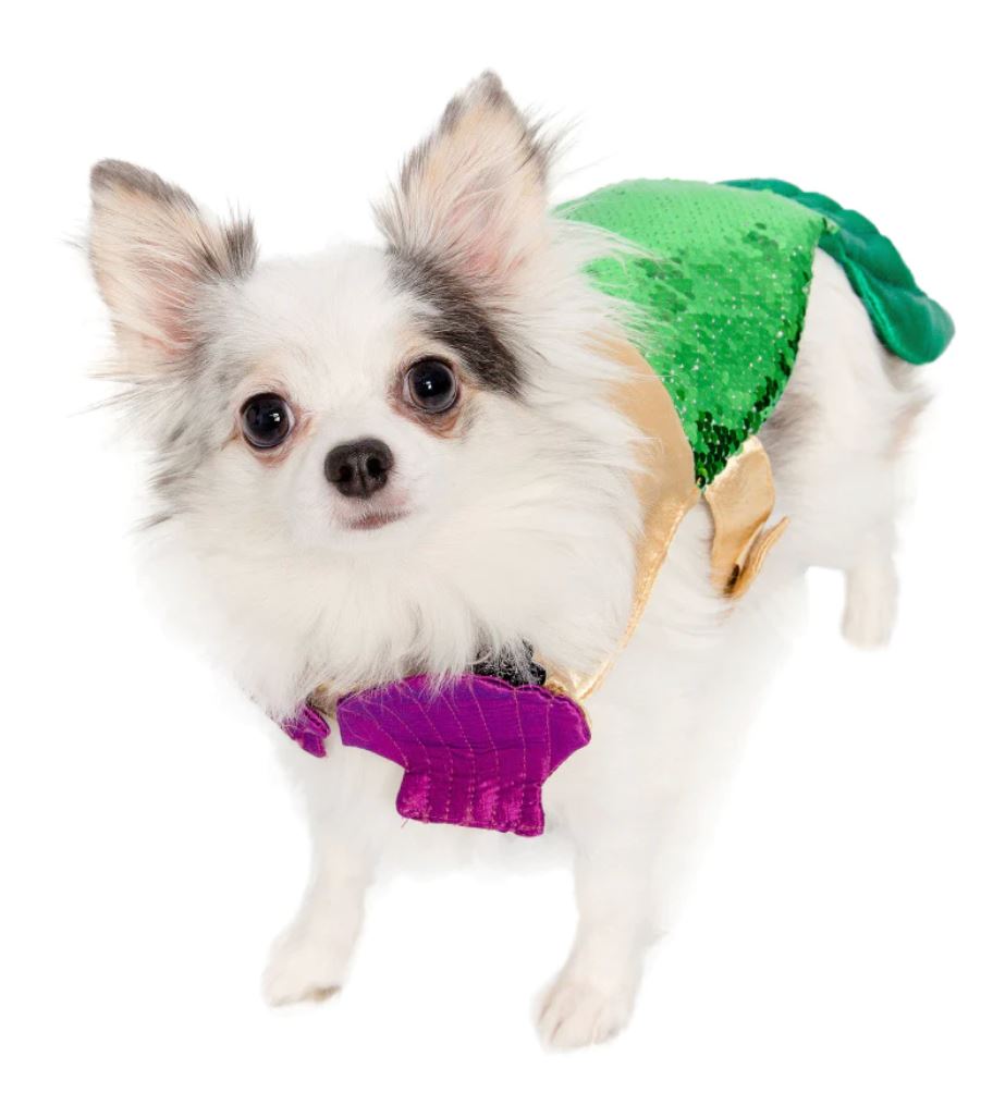 Pet Krewe | Mermaid Chateau Le Woof Mermaid 