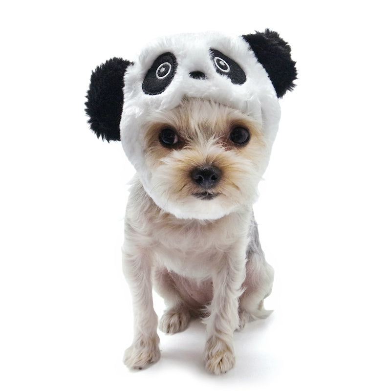 Hats by Dogo Pet Fashions Hats DOGO Panda Hat XS 