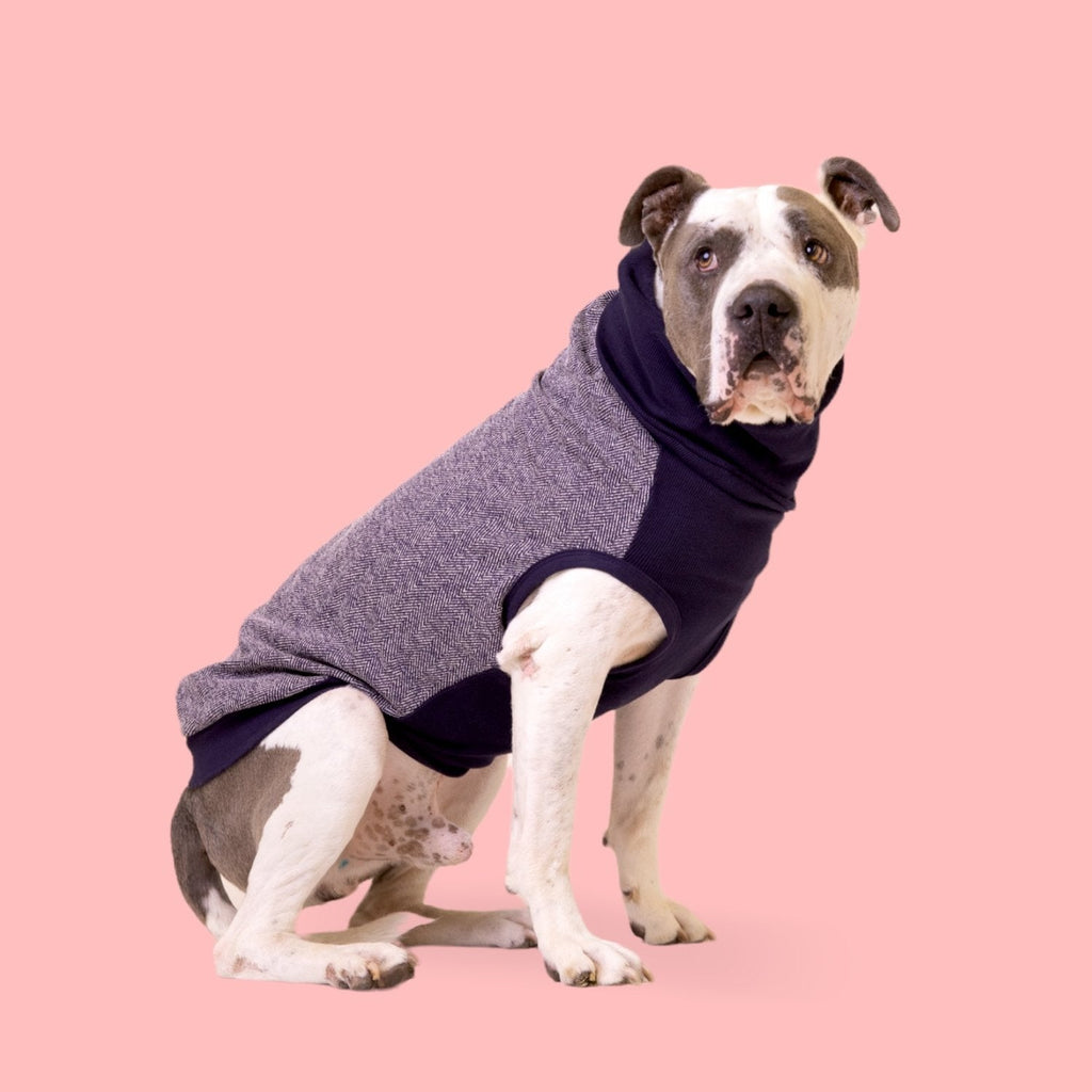Sweaters by The Long Dog Company Chateau Le Woof George X-Small 