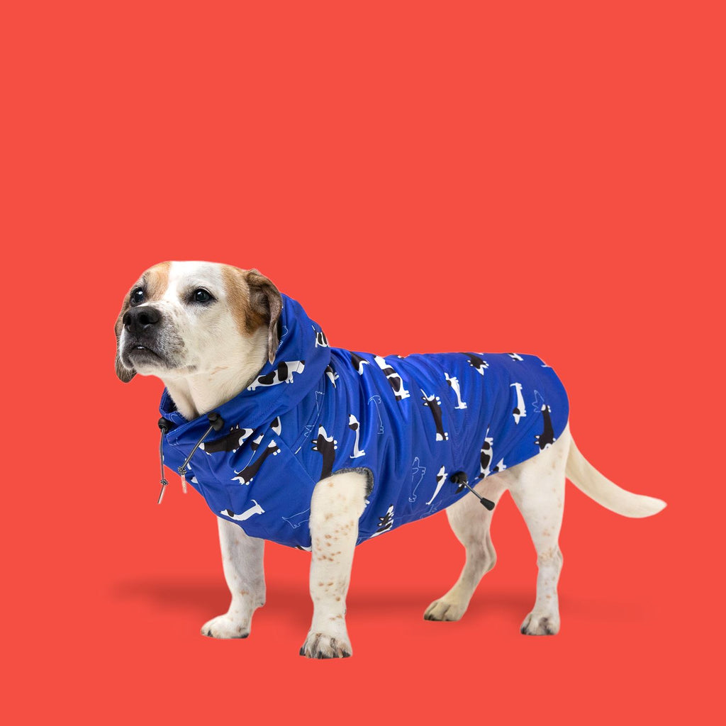 Raincoats by The Long Dog Company Chateau Le Woof Low Rider (Blue) Small 