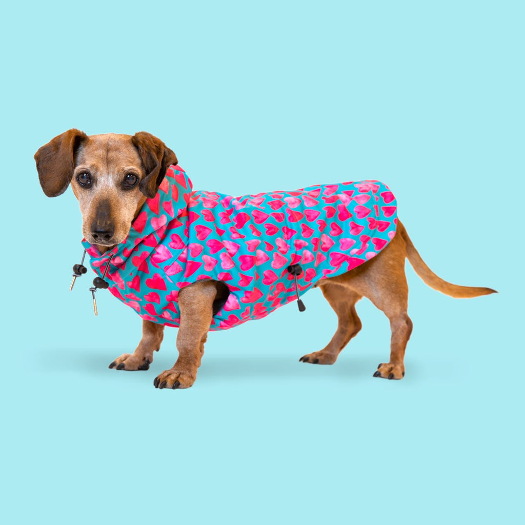 Raincoats by The Long Dog Company Chateau Le Woof Lovebug Small 