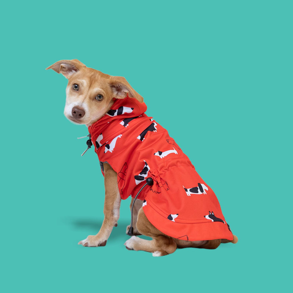 Raincoats by The Long Dog Company Chateau Le Woof Low Rider (Red) Small 