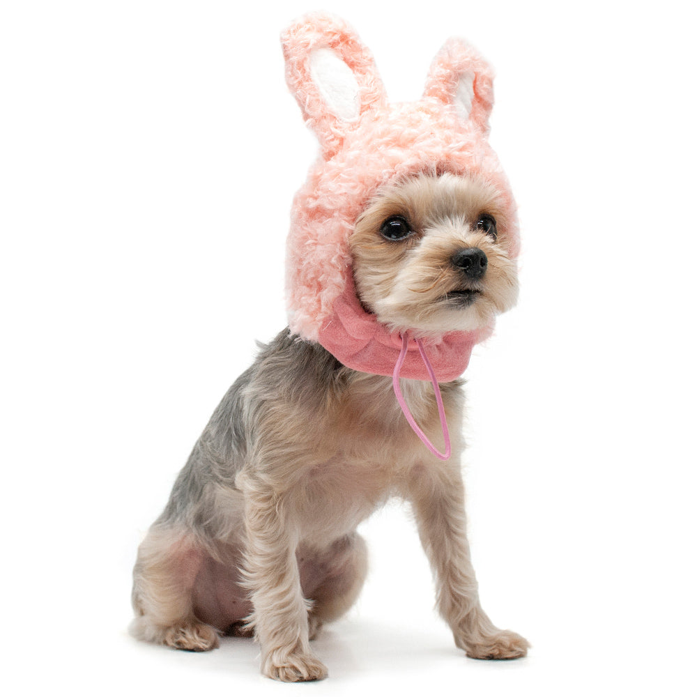 Hats by Dogo Pet Fashions Hats DOGO Bunny Hat XS 