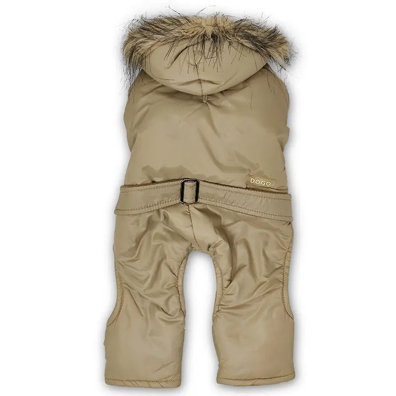 Bomber Jumper Beige by Dogo Château Le Woof 