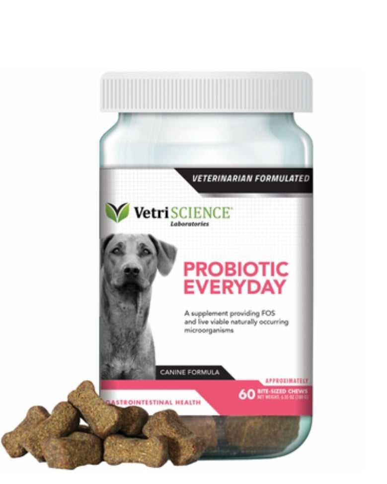 Probiotic Everyday 60ct VetriScience 
