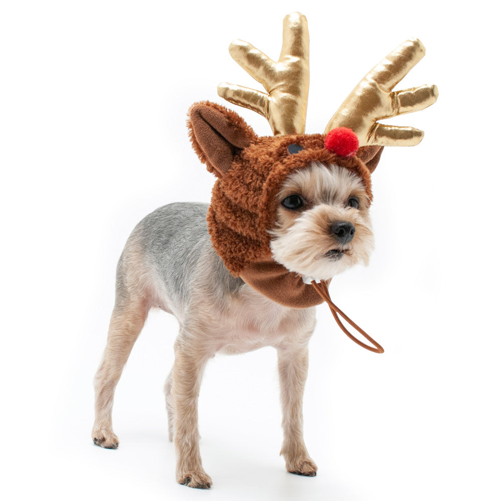 Hats by Dogo Pet Fashions Hats DOGO Rudolph Hat XS 