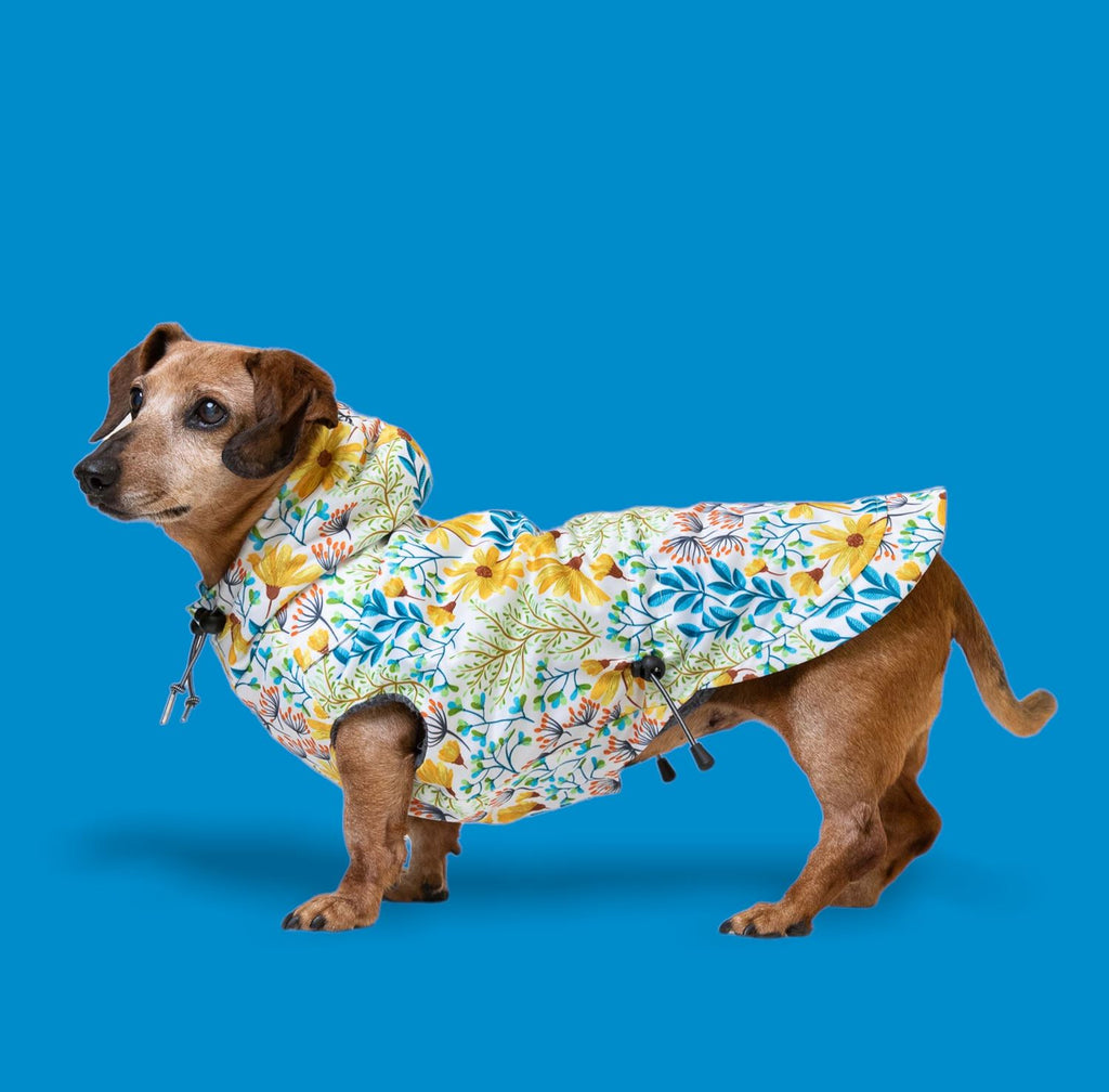 Raincoats by The Long Dog Company Chateau Le Woof Daisy Small 