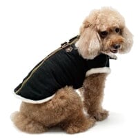 Coats by DOGO DOGO Furry Runner Coat (Black) Small 