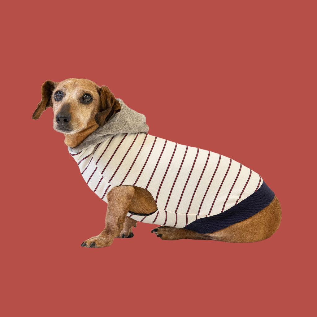 Sweaters by The Long Dog Company Chateau Le Woof Abe (Reversible) X-Small 
