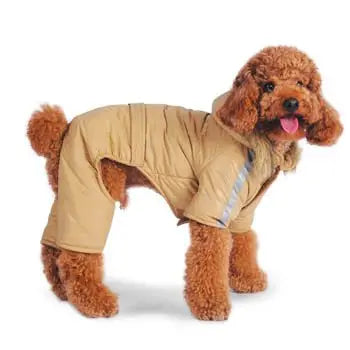 Bomber Jumper Beige by Dogo Château Le Woof Small 