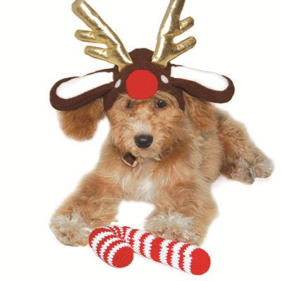 Hats by Dogo Pet Fashions Hats DOGO Reindeer Hat XS 