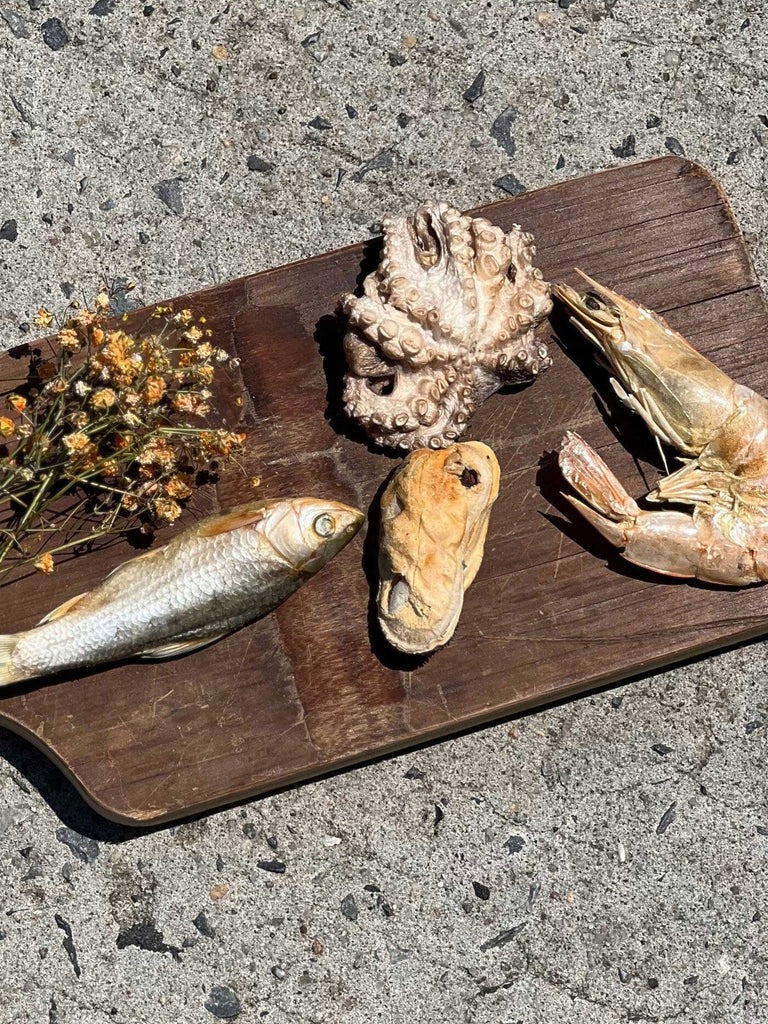 Droolicious Freeze Dried Raw Exotic Protein Château Le Woof Seafood combo 